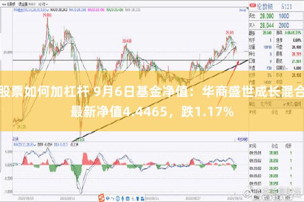 股票如何加杠杆 9月6日基金净值：华商盛世成长混合最新净值4.4465，跌1.17%