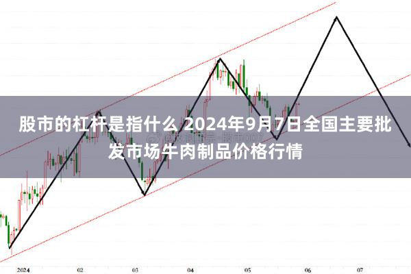 股市的杠杆是指什么 2024年9月7日全国主要批发市场牛肉制品价格行情