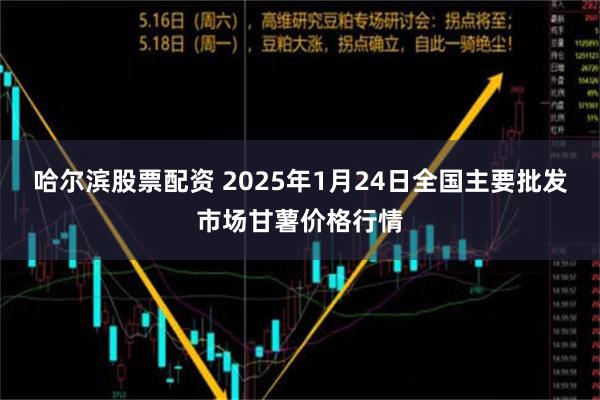 哈尔滨股票配资 2025年1月24日全国主要批发市场甘薯价格行情