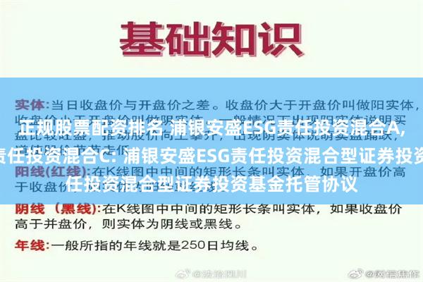 正规股票配资排名 浦银安盛ESG责任投资混合A,浦银安盛ESG责任投资混合C: 浦银安盛ESG责任投资混合型证券投资基金托管协议