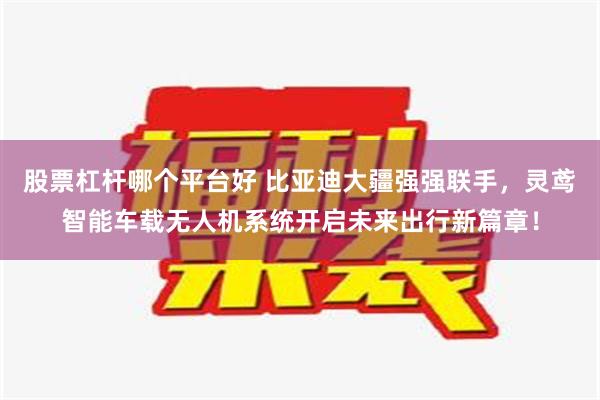 股票杠杆哪个平台好 比亚迪大疆强强联手，灵鸢智能车载无人机系统开启未来出行新篇章！